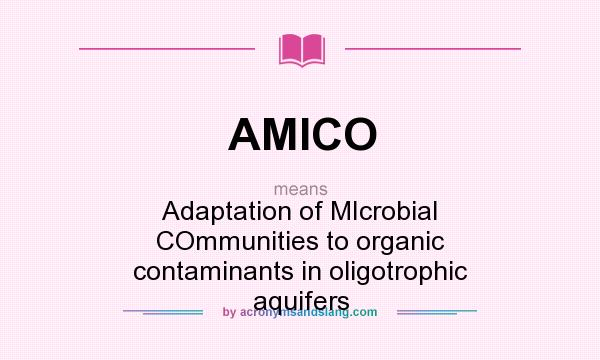 What does AMICO mean? It stands for Adaptation of MIcrobial COmmunities to organic contaminants in oligotrophic aquifers