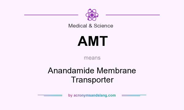 What does AMT mean? It stands for Anandamide Membrane Transporter