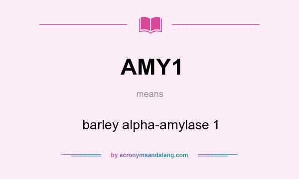 What does AMY1 mean? It stands for barley alpha-amylase 1