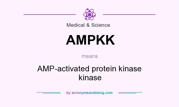 What does AMPKK mean? It stands for AMP-activated protein kinase kinase