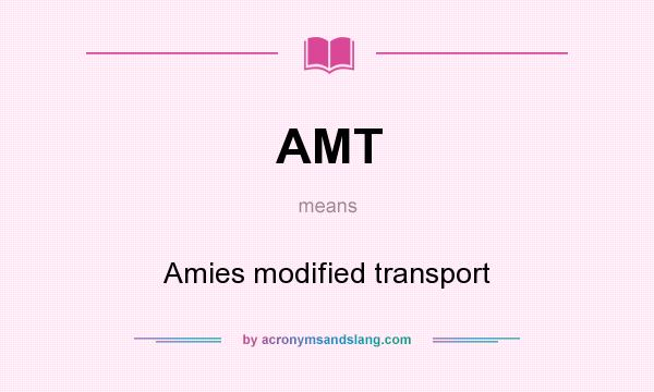 What does AMT mean? It stands for Amies modified transport
