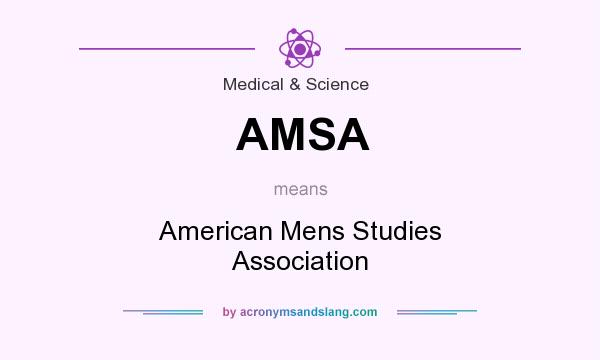 What does AMSA mean? It stands for American Mens Studies Association