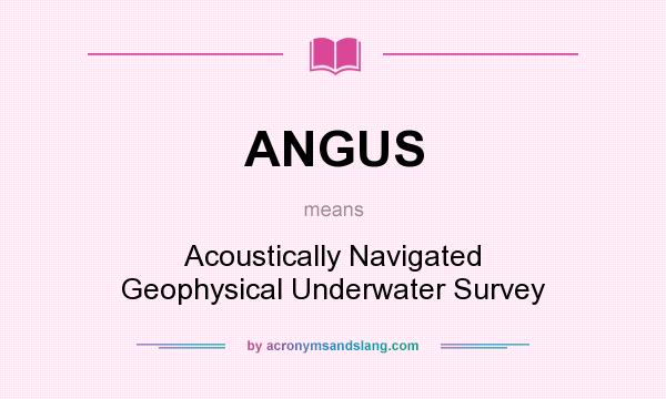 What does ANGUS mean? It stands for Acoustically Navigated Geophysical Underwater Survey