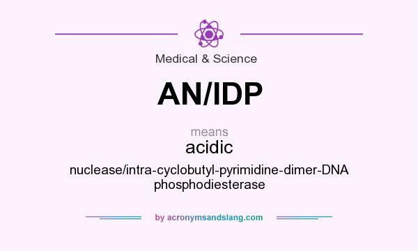 What does AN/IDP mean? It stands for acidic nuclease/intra-cyclobutyl-pyrimidine-dimer-DNA phosphodiesterase