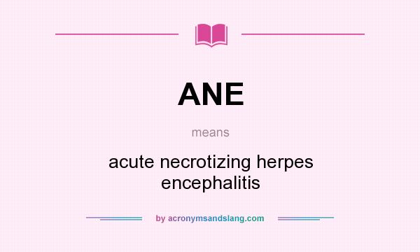 What does ANE mean? It stands for acute necrotizing herpes encephalitis