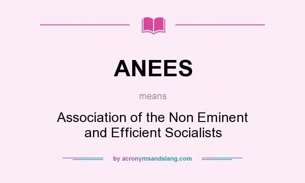 What does ANEES mean? It stands for Association of the Non Eminent and Efficient Socialists