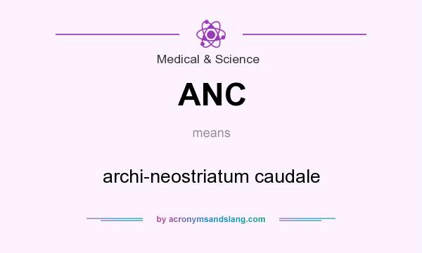 What does ANC mean? It stands for archi-neostriatum caudale