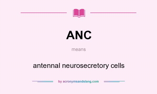 What does ANC mean? It stands for antennal neurosecretory cells