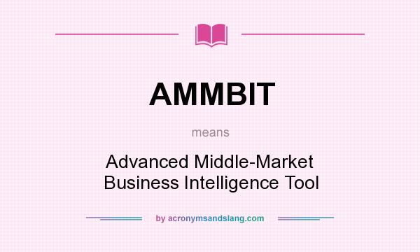 What does AMMBIT mean? It stands for Advanced Middle-Market Business Intelligence Tool