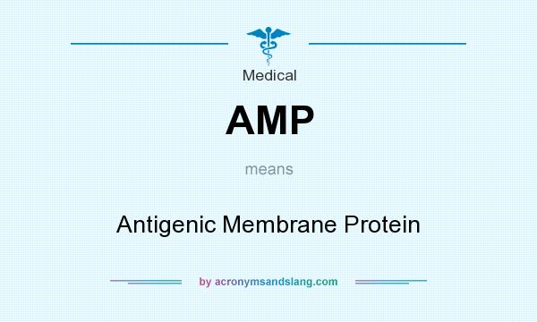 What does AMP mean? It stands for Antigenic Membrane Protein