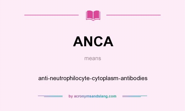 What does ANCA mean? It stands for anti-neutrophilocyte-cytoplasm-antibodies