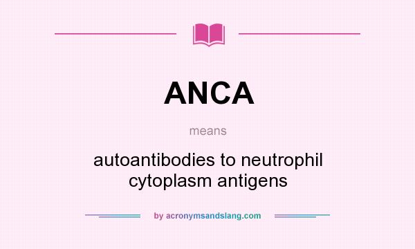 What does ANCA mean? It stands for autoantibodies to neutrophil cytoplasm antigens