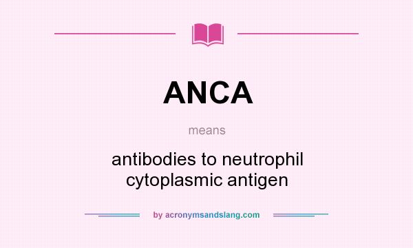 What does ANCA mean? It stands for antibodies to neutrophil cytoplasmic antigen