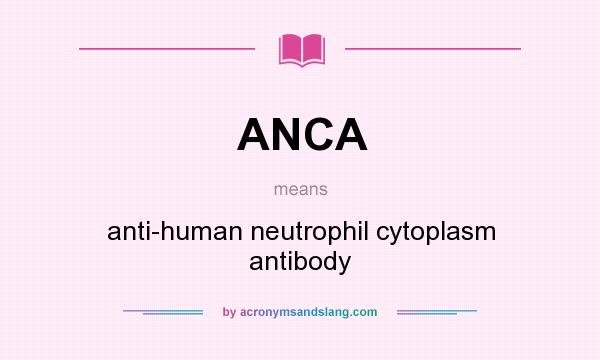 What does ANCA mean? It stands for anti-human neutrophil cytoplasm antibody