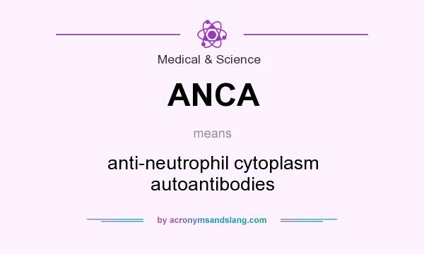 What does ANCA mean? It stands for anti-neutrophil cytoplasm autoantibodies
