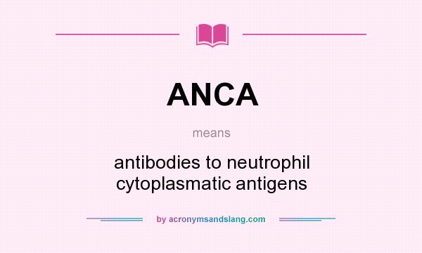 What does ANCA mean? It stands for antibodies to neutrophil cytoplasmatic antigens