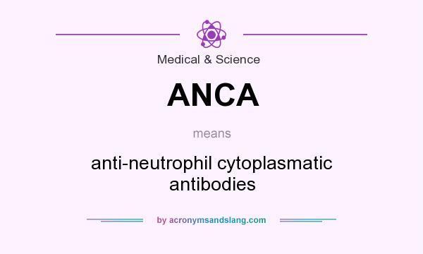 What does ANCA mean? It stands for anti-neutrophil cytoplasmatic antibodies