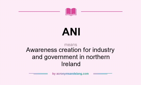 What does ANI mean? It stands for Awareness creation for industry and government in northern Ireland