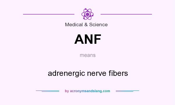 What does ANF mean? It stands for adrenergic nerve fibers