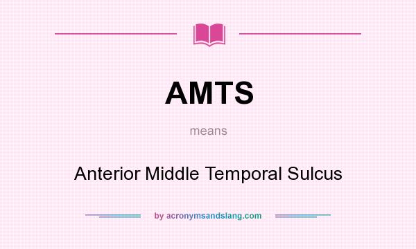 What does AMTS mean? It stands for Anterior Middle Temporal Sulcus