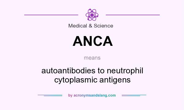 What does ANCA mean? It stands for autoantibodies to neutrophil cytoplasmic antigens