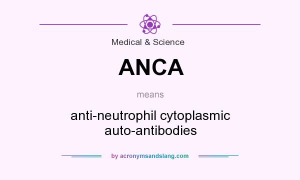 What does ANCA mean? It stands for anti-neutrophil cytoplasmic auto-antibodies