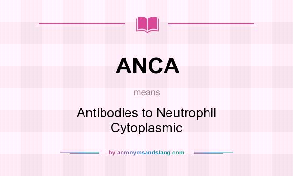 What does ANCA mean? It stands for Antibodies to Neutrophil Cytoplasmic
