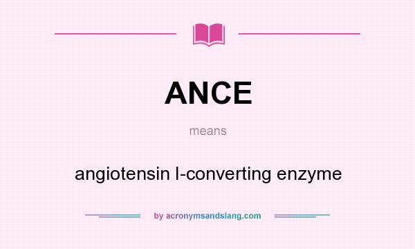 What does ANCE mean? It stands for angiotensin I-converting enzyme