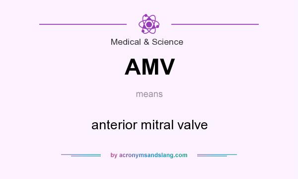 What does AMV mean? It stands for anterior mitral valve