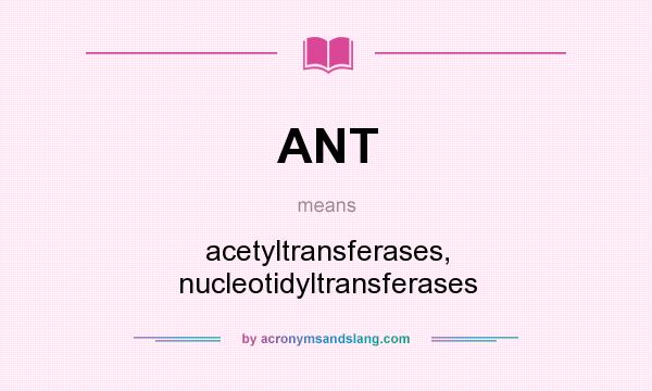 What does ANT mean? It stands for acetyltransferases, nucleotidyltransferases
