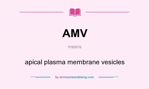 What does AMV mean? It stands for apical plasma membrane vesicles