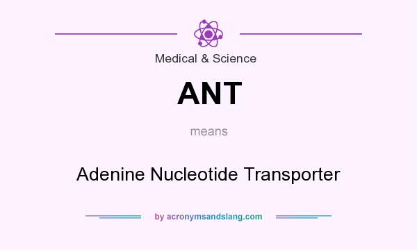 What does ANT mean? It stands for Adenine Nucleotide Transporter