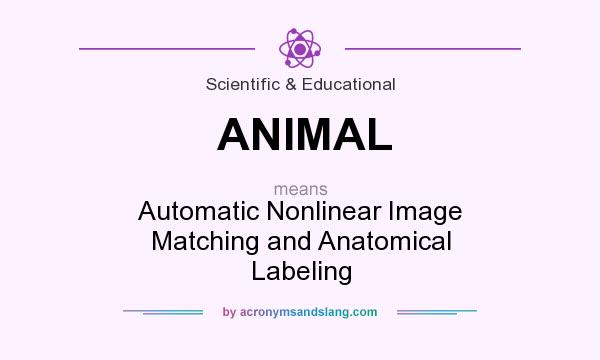 What does ANIMAL mean? It stands for Automatic Nonlinear Image Matching and Anatomical Labeling