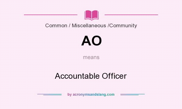 What does AO mean? It stands for Accountable Officer