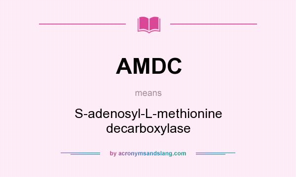 What does AMDC mean? It stands for S-adenosyl-L-methionine decarboxylase