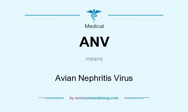 What does ANV mean? It stands for Avian Nephritis Virus