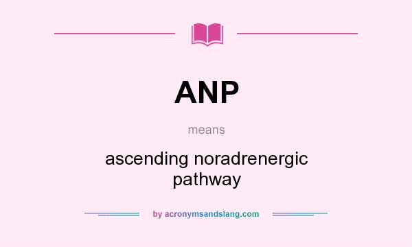What does ANP mean? It stands for ascending noradrenergic pathway