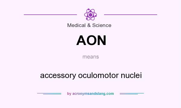 What does AON mean? It stands for accessory oculomotor nuclei
