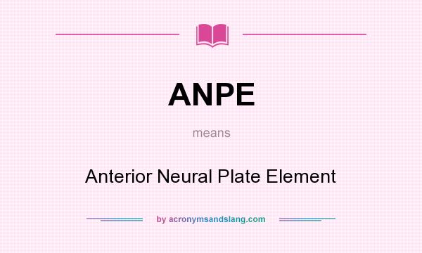 What does ANPE mean? It stands for Anterior Neural Plate Element