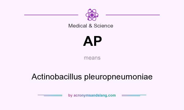 What does AP mean? It stands for Actinobacillus pleuropneumoniae