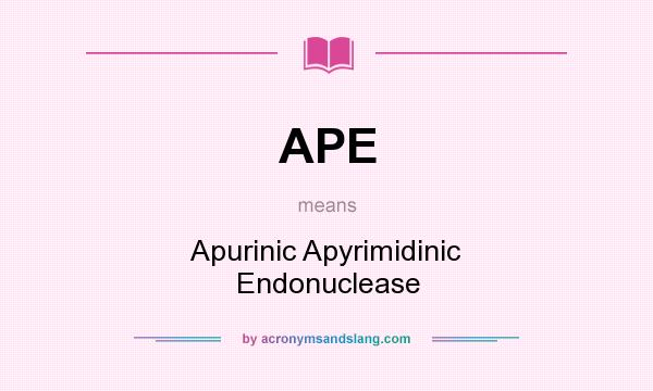 What does APE mean? It stands for Apurinic Apyrimidinic Endonuclease