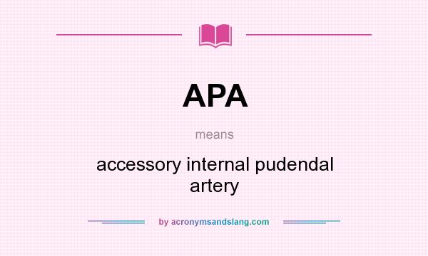 What does APA mean? It stands for accessory internal pudendal artery