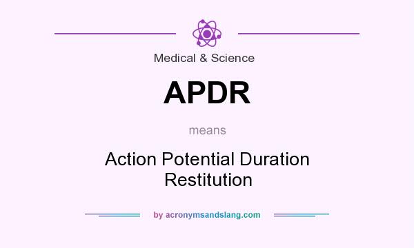 What does APDR mean? It stands for Action Potential Duration Restitution