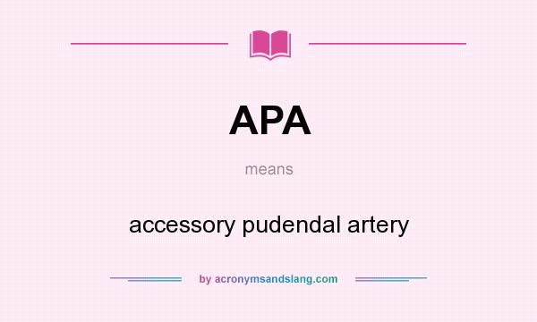 What does APA mean? It stands for accessory pudendal artery