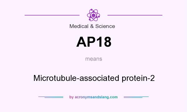 What does AP18 mean? It stands for Microtubule-associated protein-2