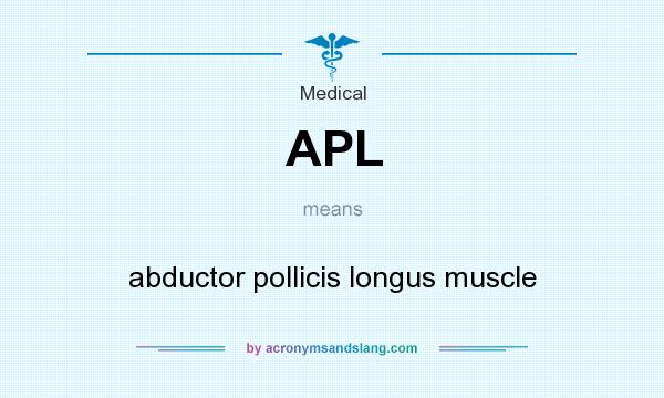 What does APL mean? It stands for abductor pollicis longus muscle