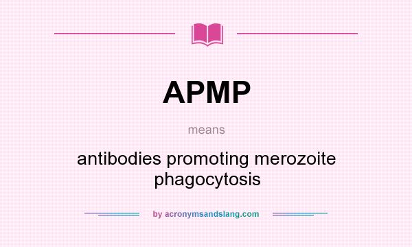 What does APMP mean? It stands for antibodies promoting merozoite phagocytosis