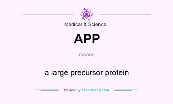 What does APP mean? It stands for a large precursor protein