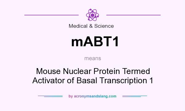 What does mABT1 mean? It stands for Mouse Nuclear Protein Termed Activator of Basal Transcription 1