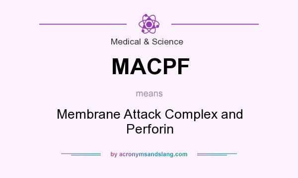What does MACPF mean? It stands for Membrane Attack Complex and Perforin